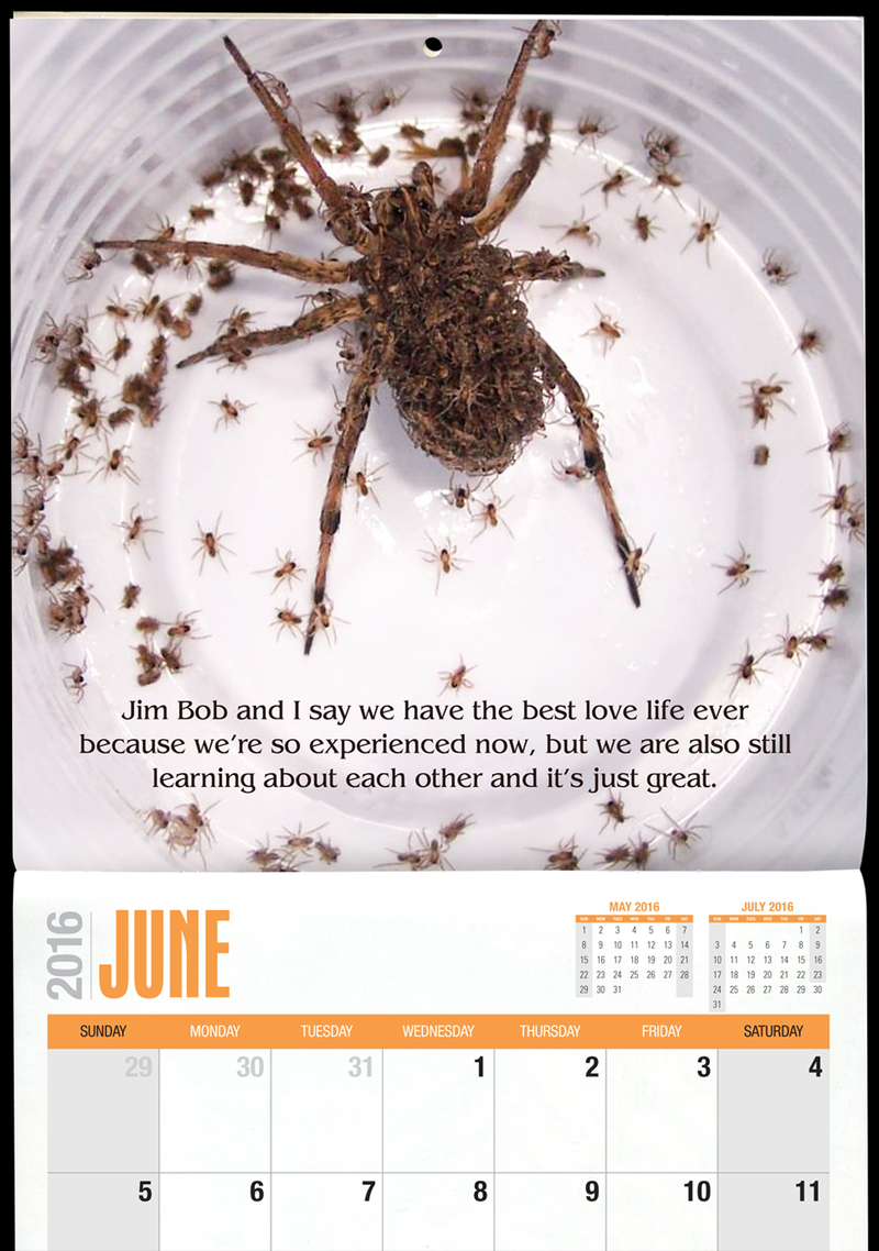 Illustration for article titled “Michelle Duggar’s Sacred Blessings” calendar is a pitch-perfect parody
